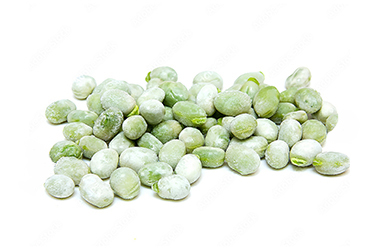 Broad Fava Beans